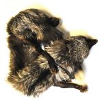 A fox fur stole with head and leg embellishment, a Victorian brown velvet beaded tea cosy, a later