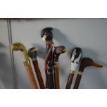 Six various walking sticks with bird handles