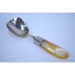 A George IV silver caddy spoon with mother-of-pearl handle, Joseph Taylor,