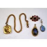 Lot containing foiled garnet yellow gold set brooch to/w butterfly wing pendant,