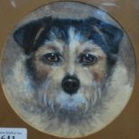 English school - Study of a terrier, watercolour,