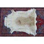 A Reindeer hide floor-rug