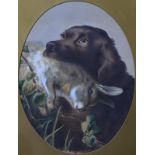 English school - Spaniel with hare in its mouth, watercolour,