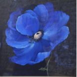 ** John Horsewell (b 1952) - Study of a blue poppy, oil on canvas, signed lower right,