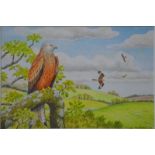 David Thelwell - Red kite (Milvus Milvus) perched in a landscape, watercolour,
