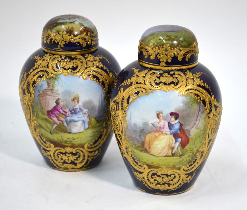 A pair of 19th century Sevres ovoid vase