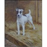 F T Daws - 'Sammy', terrier in a kennel, oil on canvas, signed lower left,