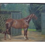 C Gatehouse (1856-1952) - 'Ladybird', Study of a horse before gates, oil on canvas,