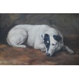 Florence Jay (fl 1905-20) - Study of a reclining Jack Russell terrier, oil on canvas,
