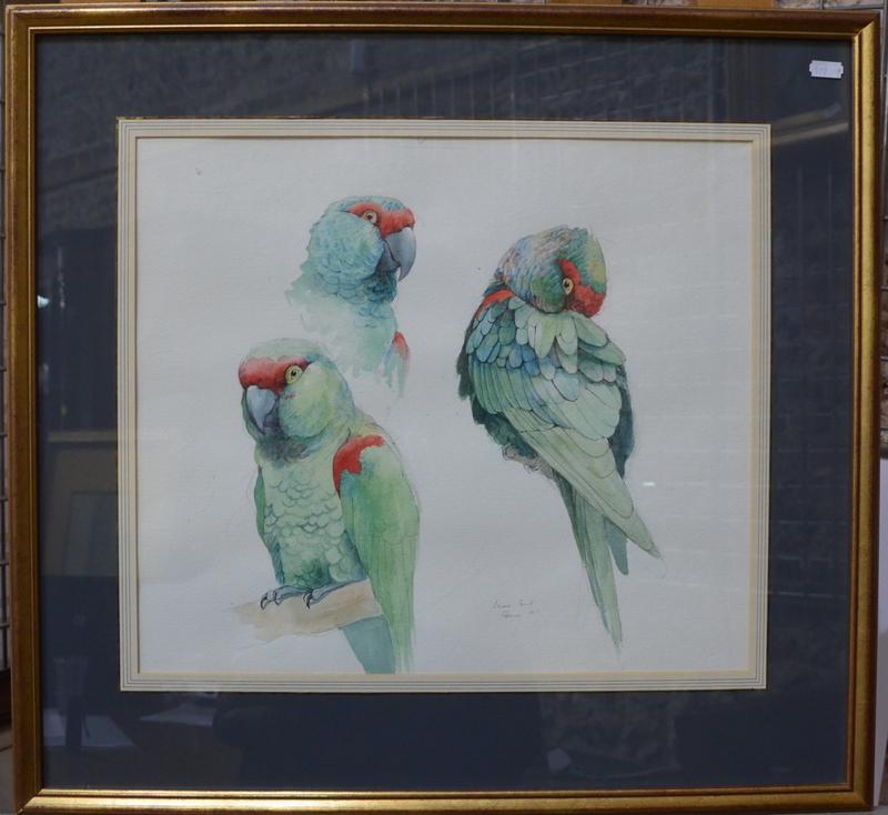 Emma Faull (b 1956) - Study of green parrots, watercolour, - Image 2 of 3