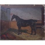 T B Whitby - 'Topper', horse in a stable, oil on canvas, signed lower right, 40 x 50 cm,