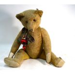 A large Steiff-type hump-back Teddy bear, early 20th century, long arms, long snout,