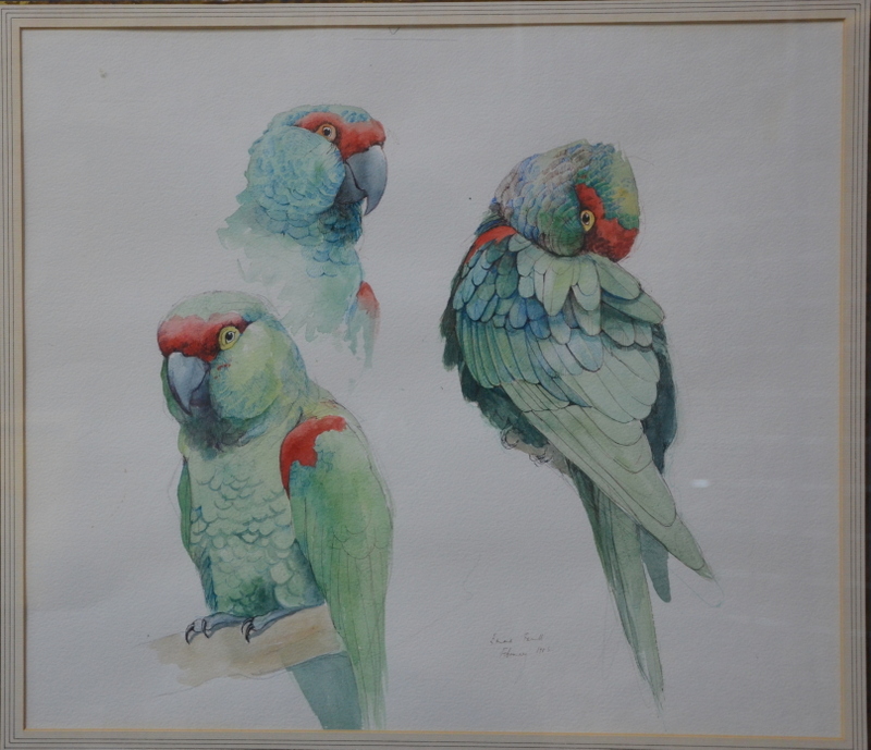 Emma Faull (b 1956) - Study of green parrots, watercolour,