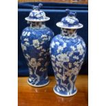A pair of blue and white Chinese vases; each one decorated with prunus,
