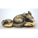 A stained ivory netsuke, carved as a large rat crouching beside a juvenile, unsigned, 7cm long,