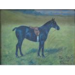 G Paice - 'Pretty Polly', study of a horse in a field, oil on canvas, signed,