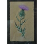 Jean Hugo (1894-1984) - Thistle sketch, watercolour, 14.