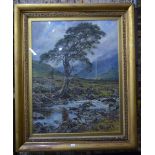 Robert Martigny? - Tall tree in a landscape, oil on canvas, signed lower right,