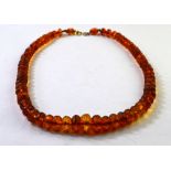 A single row of graduated facetted amber beads on yellow metal snap, approx 15g,