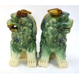 A pair of susancai and blue decorated, Buddhist Lions,