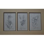 Gordon Beningfield (1936-98) - Three pencil studies, Cowslip, Harvest mouse, and moth,