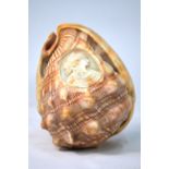 A seashell carved with the goddess Diana;