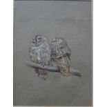George Roe - 'Pair of tawny owls', watercolour and conte crayon, signed with initials and dated '73,