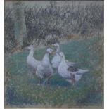Sir John Webster - Four white geese in a meadow, pastel, signed lower right,