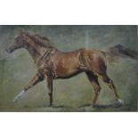Trevor Taylor - 'Nashwan at the National Stud', gouache, signed and dated 1996 lower right,