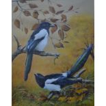 Michael Kitchen-Hurle (b 1941) - 'Autumn Beechwood Magpies', gouache,