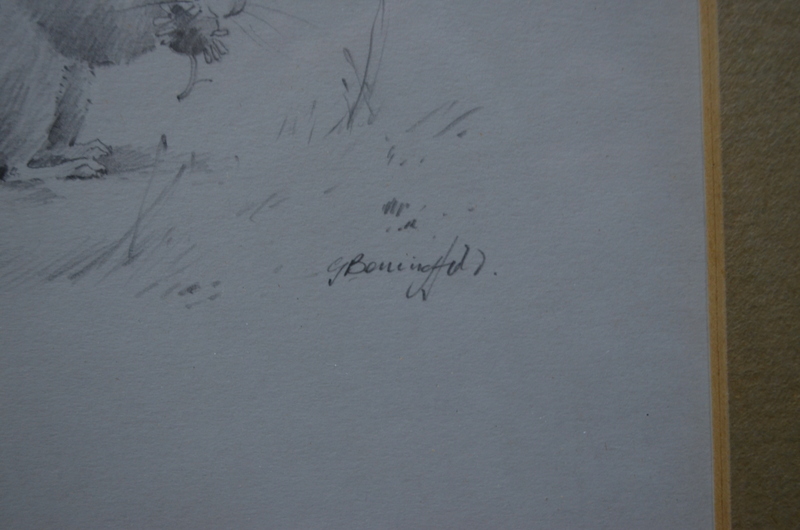 Gordon Beningfield (1936-98) - Pencil study of vole, signed lower right, 18.5 x 17. - Image 3 of 3