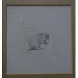 Gordon Beningfield (1936-98) - Pencil study of vole, signed lower right, 18.5 x 17.