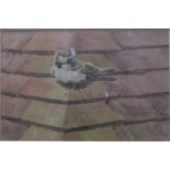 Gordon Beningfield (1936-98) attrib - A sparrow on red tiled roof, watercolour, 18.5 x 27.