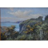 CB Holmes - Coastal view with gorse, oil on canvas, signed lower right,