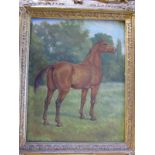 Herbert D. Atkinson 'Horse portrait', oil on mill board. 9" x 12".