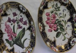 A pair of Derby oval dishes painted to the edge with floral specimens and royal blue and gilt