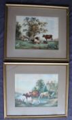 E Verboeckhoven Cattle and a calf drinking Watercolour Signed 32 x 43cm Together with a companion
