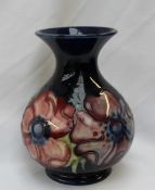 A Moorcroft pottery baluster vase, in the anemone pattern to a royal blue ground,