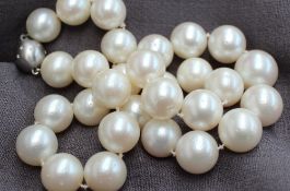 A South Sea pearl necklet, the pearls approximately 14mm diameter,