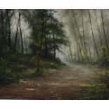P Colldeccarrera A woodland scene Oil on canvas Signed and inscribed verso 36 x 44cm