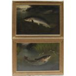 A Roland Knight A salmon on a hook leaping from the water Oil on canvas Signed 30 x 44cm Together