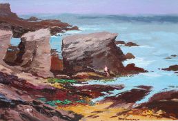 Donald McIntyre Rocky Shore Anglesey No.