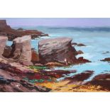 Donald McIntyre Rocky Shore Anglesey No.