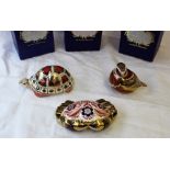 A Royal Crown Derby bone china paperweight in the form of a tortoise,