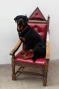 An oak and red leather throne chair