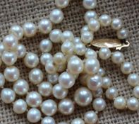 A string of graduated regular pearls, to a yellow metal clasp, varying from 8mm to 4mm,