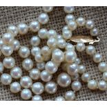 A string of graduated regular pearls, to a yellow metal clasp, varying from 8mm to 4mm,