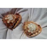 A pair of cameo carved conch shells, one decorated with two Romanesque figure heads,