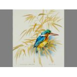Leigh Voigt (1943- ) MALACHITE KINGFISHER, CORYTHORIS CRIZTATA, Watercolour on paper, Signed, titled