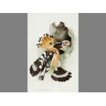 Leigh Voigt (1943- ) AFRICAN HOOPOE, UPUPA AFRICANA, Watercolour on paper, Signed, titled and